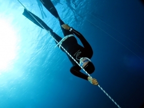 Freediving - SSI Dive Center 735185