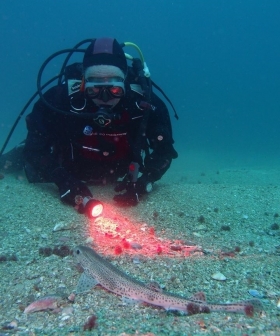 Rias galegas - SSI Dive Center 735185