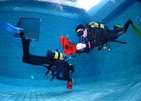 Cursos de mergulho - SSI Dive Center 735185