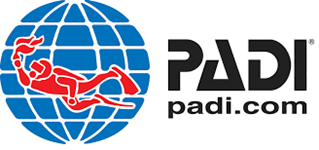 Logo Padi